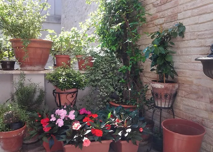 Il Covo dei Piccioni