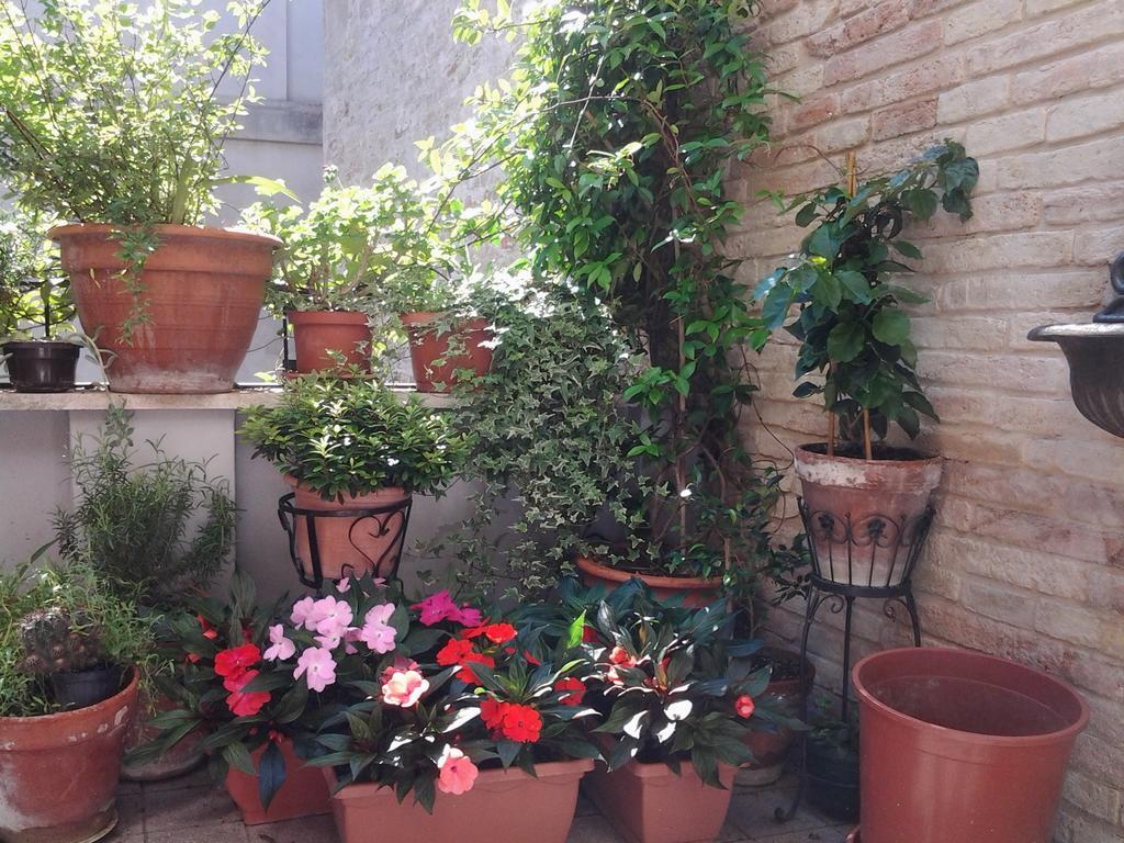 Bed & Breakfast Il Covo Dei Piccioni Castelfidardo